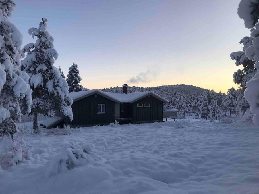 Frittliggende I Flott Turterreng