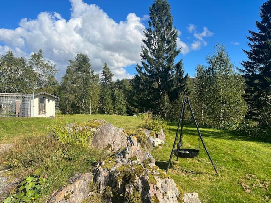 Frittliggende I Flott Turterreng Molde