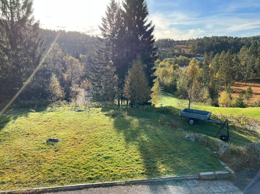 Frittliggende I Flott Turterreng * Molde