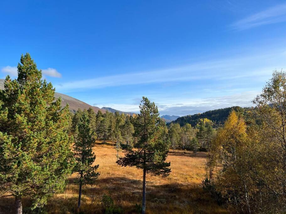 Holiday home Frittliggende I Flott Turterreng Molde